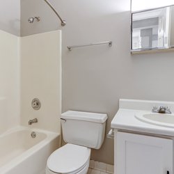 bathtroom at Retreat at Palm Pointe located in North Charleston, SC