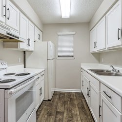 kitchen at Retreat at Palm Pointe located in North Charleston, SC